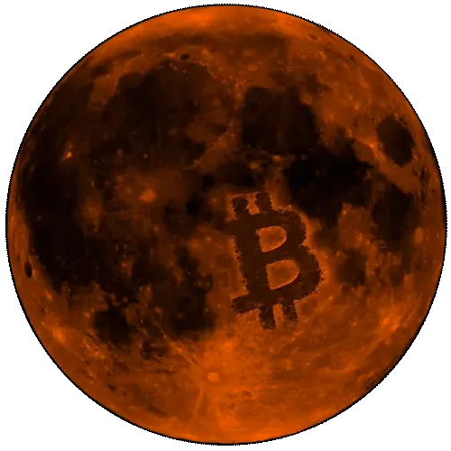 Bitcoin Satoshi Moon Animation
